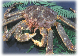 ヘイワ商事株式会社